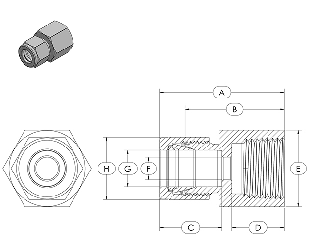 Compression Fitting Specifications - FCC - Female Connector